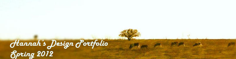 Cows in Field, Banner